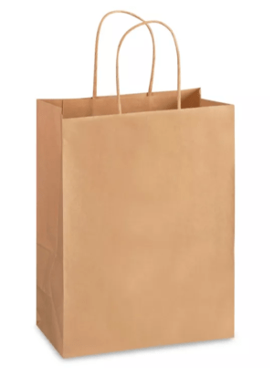 Kraft Paper Shopping Bags - 10 x 5 x 13", Debbie
