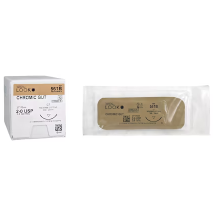 Look Suture 2-0 27" Chromic Gut Monofilament C-7 Undyed Beige 12/Bx - Image 2